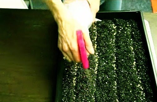 [clip_image005%255B3%255D.jpg]