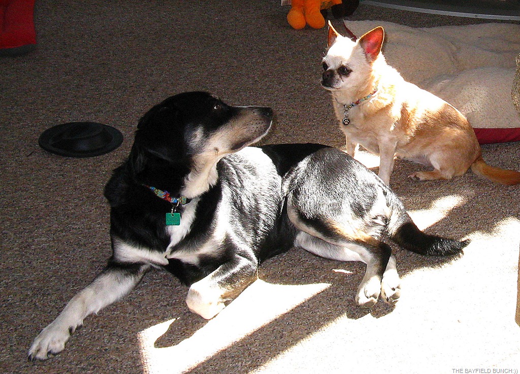 [IMG_2913%255B4%255D.jpg]