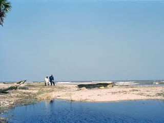 Le cliché de la plage Kumbi du photographe Zadic Kangufu