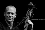 Avishai Cohen