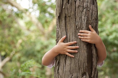 young-child-hugging-a-tree-in-the-forest