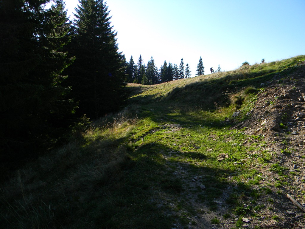 [DSCN17833.jpg]