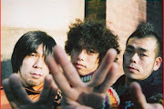 Electric Eel Shock