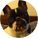 Image Google de Sebastien Dupoirier