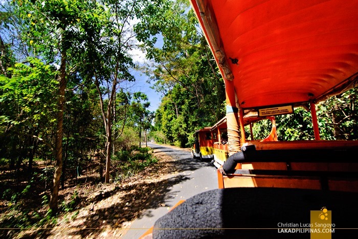 Tram Ride at Subic's Zoobic Safari