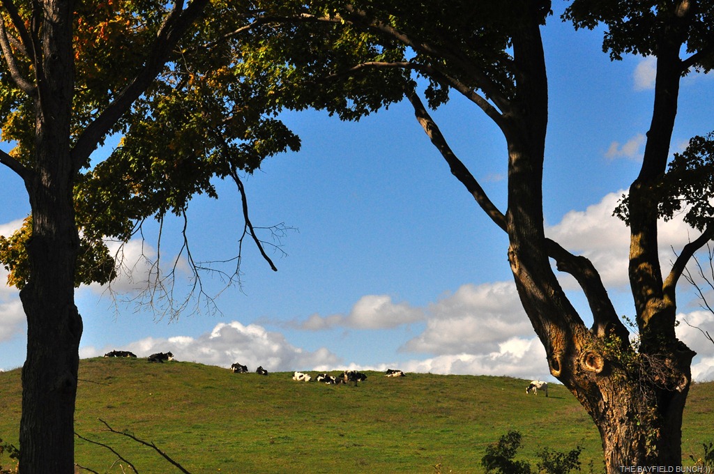 [DSC_0022%255B3%255D.jpg]