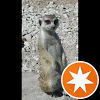 Olaf Jehle Avatar