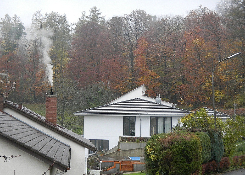 [DSCN1967%255B5%255D.jpg]