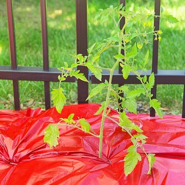 [clip_image003%255B3%255D.jpg]