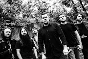 Chimaira