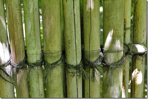100726_Portland_Japanese_Garden_bamboo_fence_detail