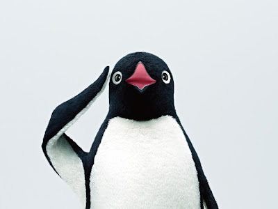 スマホ Suica ペンギン 壁紙 の最高のコレクション 花の画像 スマホ Suica ペンギン 壁紙 の最高のコレクション 花の画像