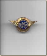 Curtiss Wright Pin