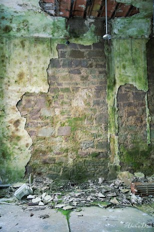 20141227_MädcheninternatElsass-15.jpg