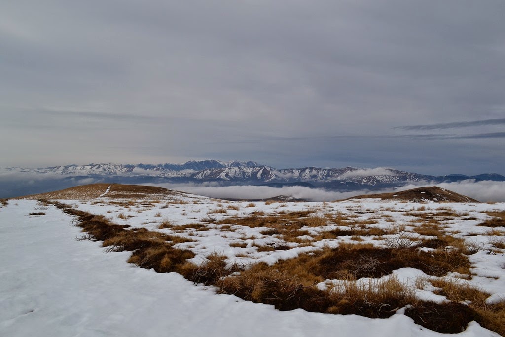 [DSC_42617.jpg]