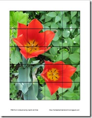 tulip preschool puzzle thumbnail