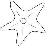 coloriage_mer_28.JPG.jpg