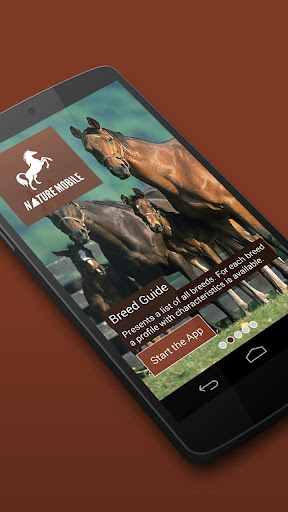 iKnow Horses 2 PRO