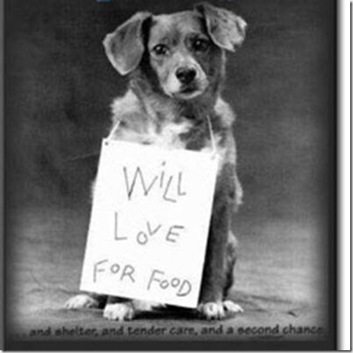 Will-love-for-food