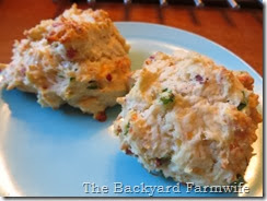 Bacon Jalapeno Biscuits - The Backyard Farmwife