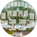 Image Google de Nancy Madelaine