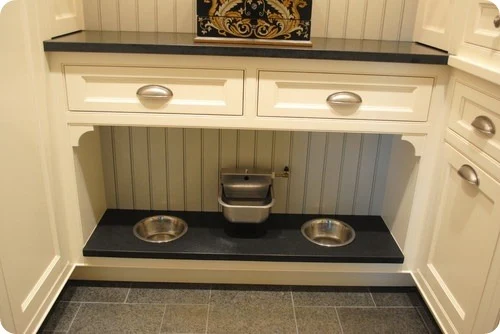 Multiple dog outlet feeding station