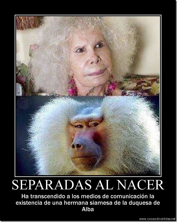 duquesa de alba desmoticaciones Humor duquesa de Alba