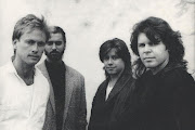 Mr. Mister