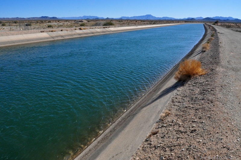 [DSC_0010%255B4%255D.jpg]