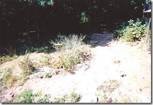 before pond 1
