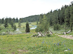 Biotope de Parnassius stubbendorffii stubbendorffii MÉNÉTRIÈS, 1849 (alt. 650 m). En-dessous des lacs de Karakol, 5 juillet 2010. Photo : J. Marquet