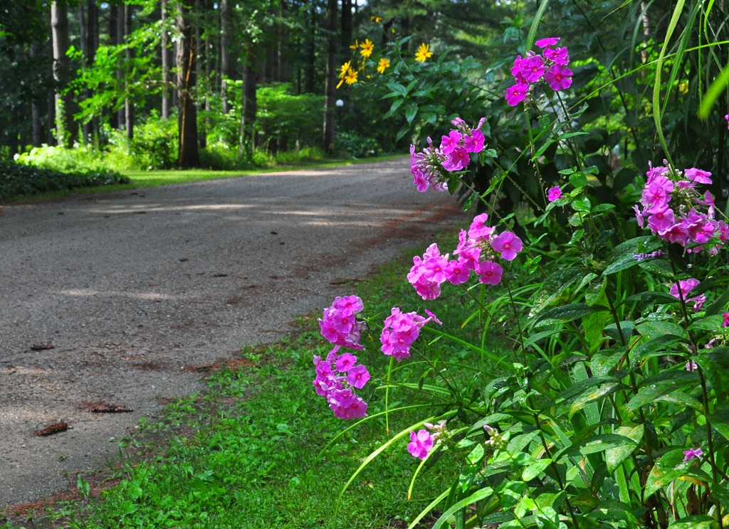 [DSC_0019%255B4%255D.jpg]