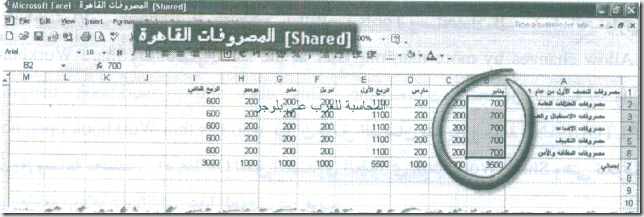 excel_for_accounting-178_06