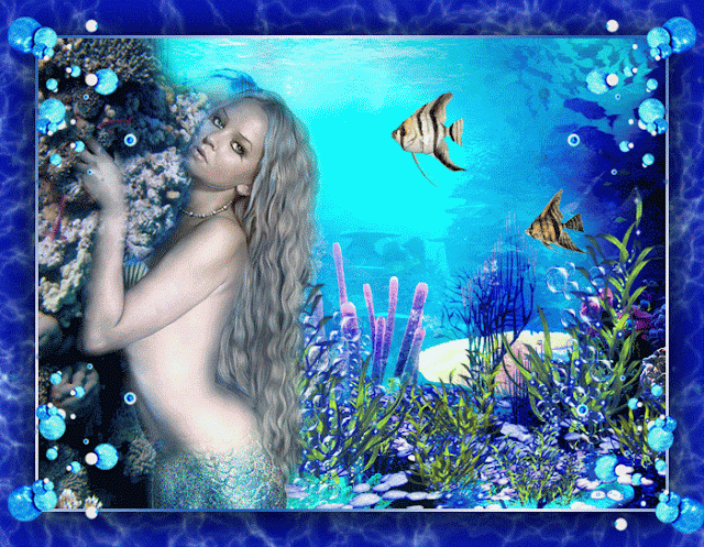 0_8a3be_df5a705e_XL.gif