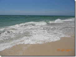 Orange Beach 2012 036