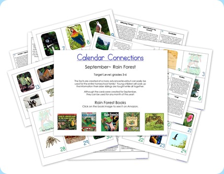Rain Forest Calendar Connections