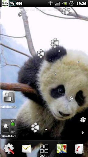 Baby Panda Live Wallpaper