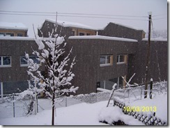 100_4633 100_4633