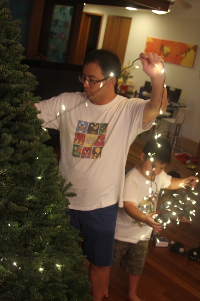 IMG_7434.jpg IMG 7434