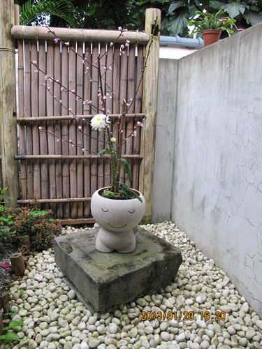 1020120 花蓮-159