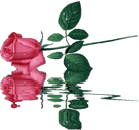 rosa%2520cereja%2520na%2520agua.gif