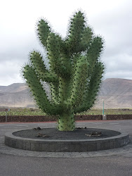 Lanzarote 2011 - - 043