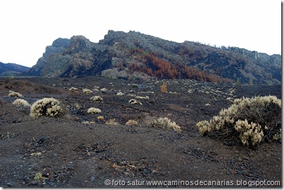 019 Cañadas del Teide 019 Cañadas del Teide