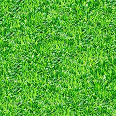 depositphotos_1103118-Green-grass-seamless-pattern.