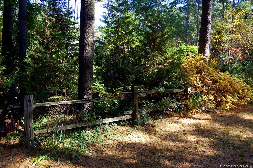 [DSC_8757-1%255B3%255D.jpg]