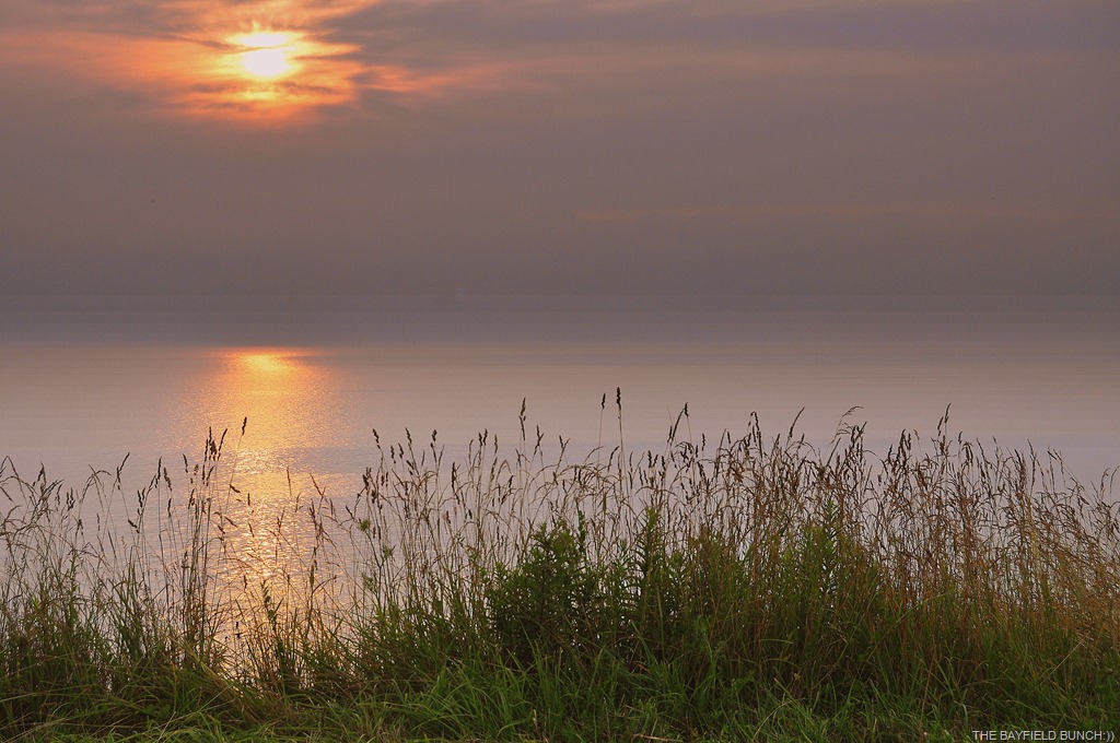 [DSC_0006%255B3%255D.jpg]