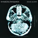 Breaking Benjamin - Dear agony