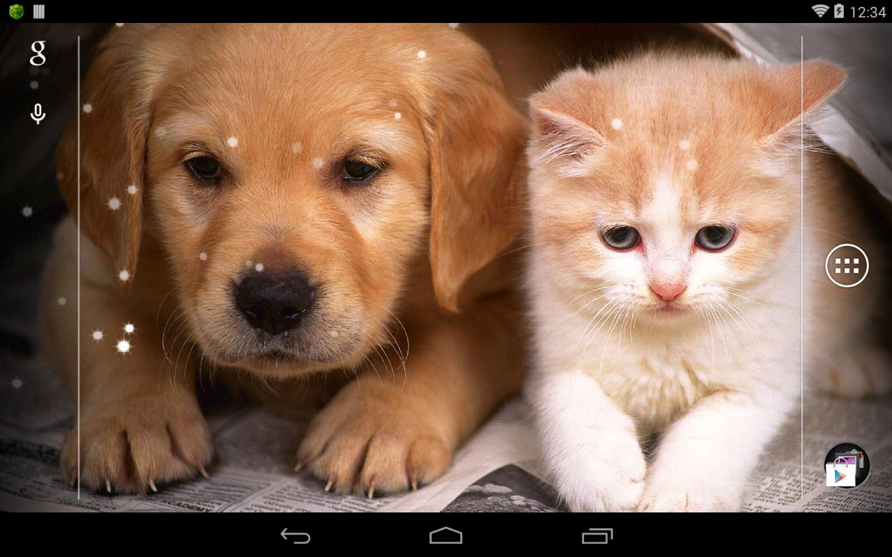 View Obedience Training Competitions https://lh6.ggpht.com/-_JoM2dH1hiZIpeyZQ1ZoEvr_8ORSzSSTNVJj7Vn_ut3Mr2S1SiatlOdw6gXyvQ5T8DS=h900
