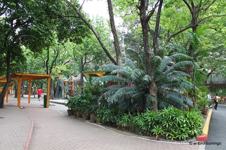 manila zoo 2