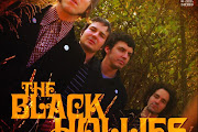 The Black Hollies